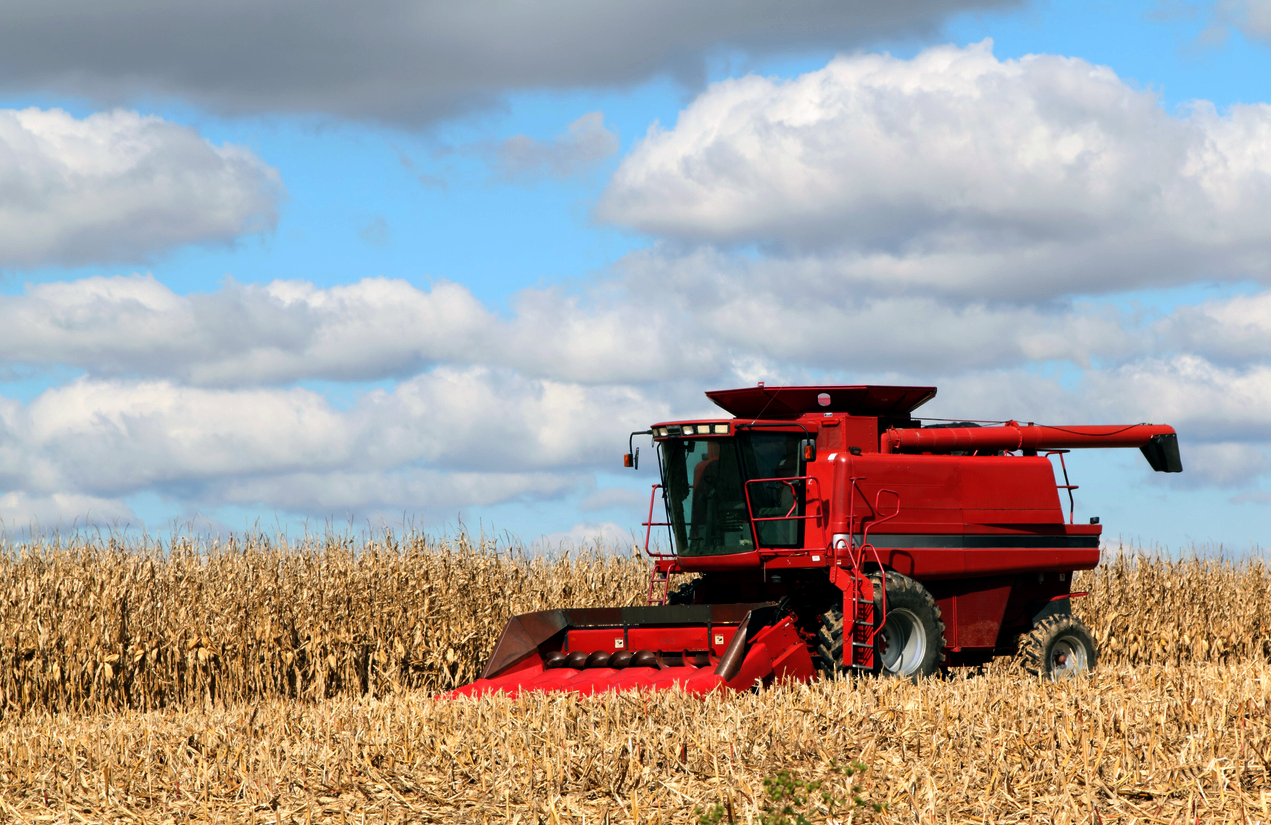 Combine Harvesting Corn